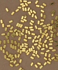 30 pc. Gold Plated Brass Cuboid Beads, 4mm x 2mm | MIS-128***