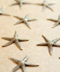 8 pc. Antique Brass Plated Starfish Stampings: 19mm by 20mm - made in USA | AB-061