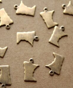 6 pc. Antique Brass Plated Minnesota State Charms / Blanks: 9mm by 12mm - made in USA | AB-093