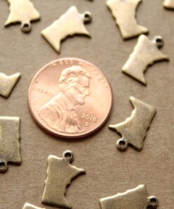 6 pc. Antique Brass Plated Minnesota State Charms / Blanks: 9mm by 12mm - made in USA | AB-093