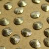 9 pc. Tiny Antique Brass Plated Clam Shells: 10mm by 8.5mm - made in USA | AB-312