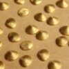 14 pc. Tiny Raw Brass Clam Shells: 10mm by 8.5mm - made in USA | RB-781