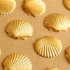 5 pc. Large Raw Brass Clam Shell Charms: 28mm by 26mm - made in USA | RB-1027