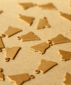 8 pc. Raw Brass Rhode Island State Charms / Blanks: 9mm by 14mm - made in USA | RB-1046