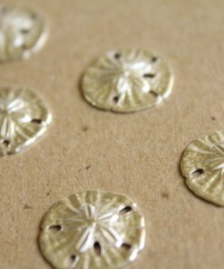 6 pc. Small Silver Plated Brass Sand Dollars: 15mm by 16mm - made in USA | SI-090