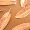 2 pc. Large Rose Gold Plated Brass Feathers: 53mm by 15mm - made in USA - leaf leaves bird tribal nature boho brooch bobby pin | ROS-062