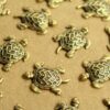 6 pc. Small Antique Brass Plated Turtles: 19mm by 13mm - made in USA | AB-219