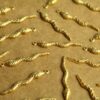 20 pc. Raw Brass Snake Charms: 28mm by 4mm - made in USA | RB-1282