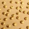24 pc. Tiny Raw Brass Seashells: 6mm by 6mm - made in USA | RB-826