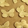 2 pc. Raw Brass Butterfly Stamping: 29.5mm by 21mm - made in USA | RB-1248