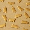 8 pc. Raw Brass Mississippi State Charms / Blanks: 7mm by 15mm - made in USA | RB-1040