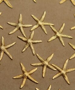 8 pc. Raw Brass Starfish Stampings: 19mm by 20mm - made in USA | RB-324
