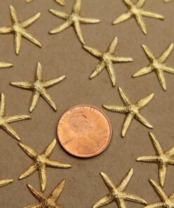 8 pc. Raw Brass Starfish Stampings: 19mm by 20mm - made in USA | RB-324