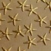 4 pc. Small Raw Brass Starfish: 14mm by 12mm - Made in USA | RB-420