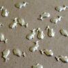12 pc. Tiny Silver Plated Brass Happy Whales Facing Left: 10mm by 6mm - made in USA | SI-036