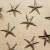 8 pc. Antique Brass Plated Starfish Stampings: 19mm by 20mm - made in USA | AB-061