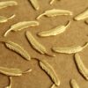 4 pc. Raw Brass Detailed Feathers: 23.5mm by 5mm - made in USA | RB-1261