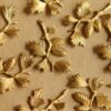 2 pc. Raw Brass Pine Tree Branch Stampings: 25mm by 20mm - made in USA | RB-504