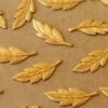 5 pc. Raw Brass Veined Leaves: 28mm by 10mm - made in USA - leaf autumn fall foliage tree woodland | RB-1389
