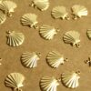 20 pc. Small Raw Brass Seashells: 12.5mm by 11.5mm - made in USA | RB-1227