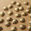 8 pc. Tiny Antique Brass Plated Beetles: 8.5mm by 8mm - made in USA | AB-129