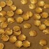 12 pc. Tiny Raw Brass Seashells: 6mm by 6mm - made in USA Sea Shells Mermaid Ocean Sea Vacation Holiday Souvenir Beachy Beach Surf | RB-023