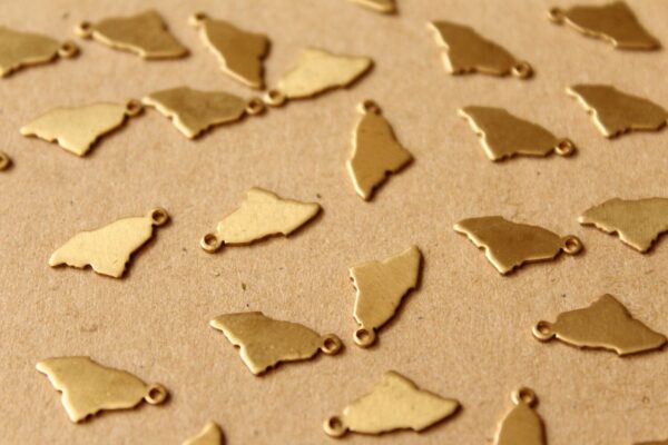 8 pc. Raw Brass Maine State Charms / Blanks: 8mm by 15mm - made in USA | RB-987